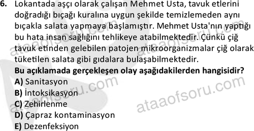 ata cocukgelisimonlisans 1487 6