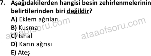 ata cocukgelisimonlisans 1487 7