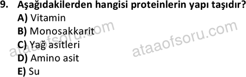ata cocukgelisimonlisans 1487 9