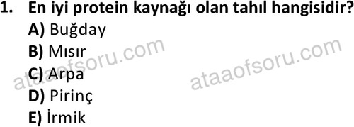ata cocukgelisimonlisans 1487 1