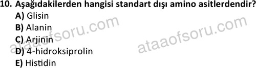 ata cocukgelisimonlisans 1487 10