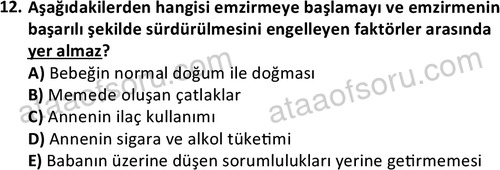 ata cocukgelisimonlisans 1487 12