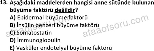 ata cocukgelisimonlisans 1487 13