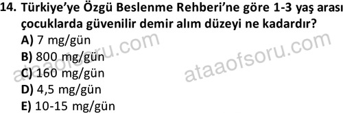 ata cocukgelisimonlisans 1487 14