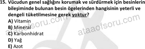 ata cocukgelisimonlisans 1487 15