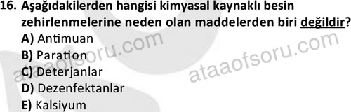 ata cocukgelisimonlisans 1487 16