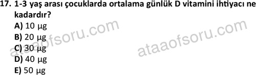 ata cocukgelisimonlisans 1487 17