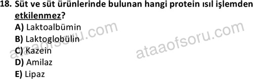 ata cocukgelisimonlisans 1487 18