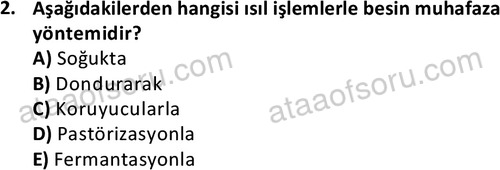 ata cocukgelisimonlisans 1487 2