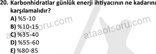 ata cocukgelisimonlisans 1487 20