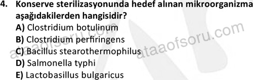 ata cocukgelisimonlisans 1487 4
