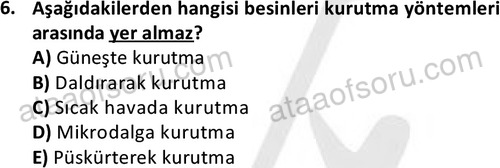 ata cocukgelisimonlisans 1487 6