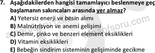 ata cocukgelisimonlisans 1487 7