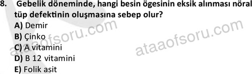 ata cocukgelisimonlisans 1487 8