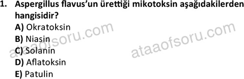 ata cocukgelisimonlisans 1487 1