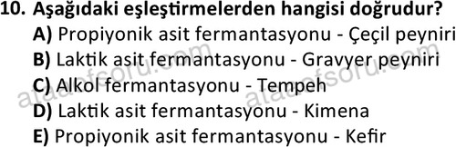 ata cocukgelisimonlisans 1487 10