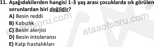 ata cocukgelisimonlisans 1487 11