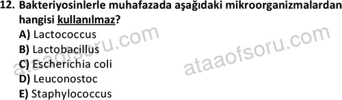 ata cocukgelisimonlisans 1487 12