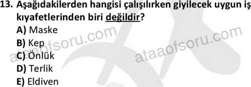 ata cocukgelisimonlisans 1487 13