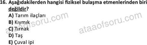 ata cocukgelisimonlisans 1487 16