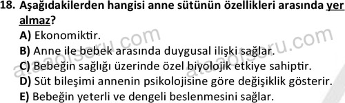 ata cocukgelisimonlisans 1487 18