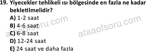 ata cocukgelisimonlisans 1487 19