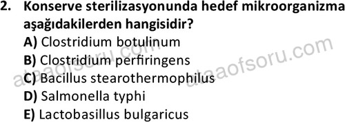 ata cocukgelisimonlisans 1487 2