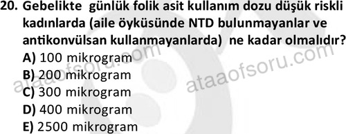 ata cocukgelisimonlisans 1487 20