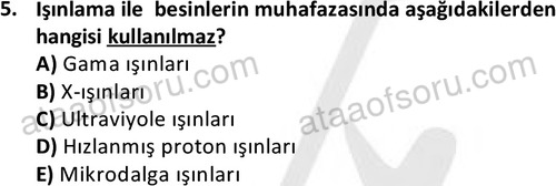 ata cocukgelisimonlisans 1487 5