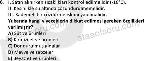 ata cocukgelisimonlisans 1487 6