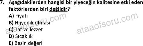 ata cocukgelisimonlisans 1487 7