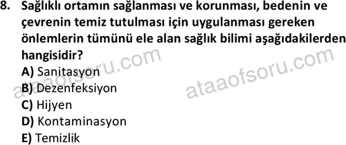 ata cocukgelisimonlisans 1487 8