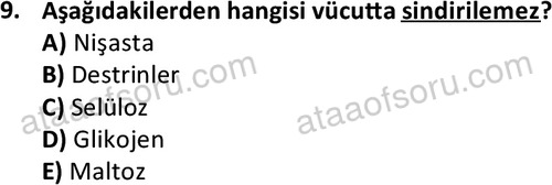 ata cocukgelisimonlisans 1487 9