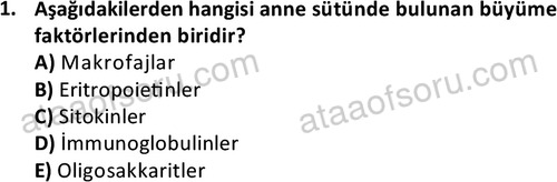 ata cocukgelisimonlisans 1487 1