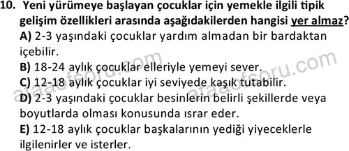 ata cocukgelisimonlisans 1487 10