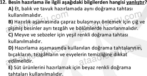 ata cocukgelisimonlisans 1487 12