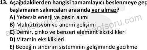 ata cocukgelisimonlisans 1487 13