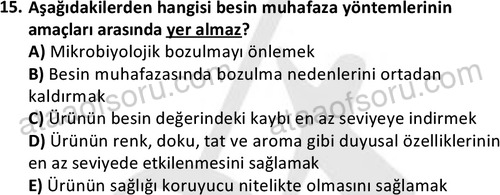 ata cocukgelisimonlisans 1487 15