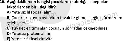 ata cocukgelisimonlisans 1487 16