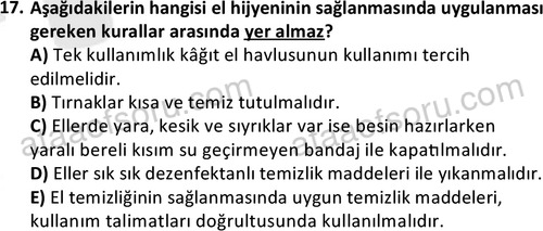 ata cocukgelisimonlisans 1487 17