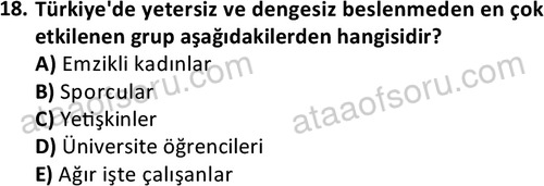 ata cocukgelisimonlisans 1487 18