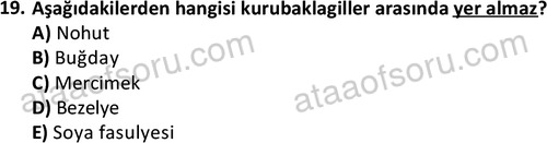 ata cocukgelisimonlisans 1487 19