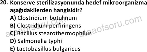 ata cocukgelisimonlisans 1487 20