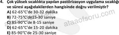 ata cocukgelisimonlisans 1487 4