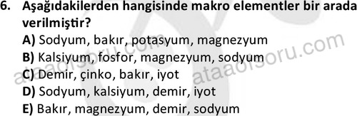 ata cocukgelisimonlisans 1487 6