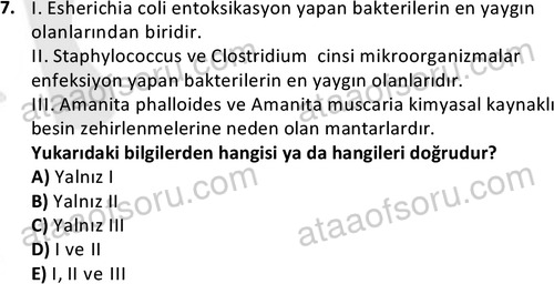 ata cocukgelisimonlisans 1487 7