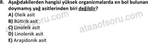 ata cocukgelisimonlisans 1487 8