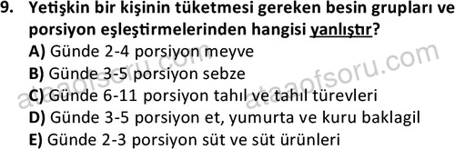 ata cocukgelisimonlisans 1487 9