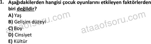 ata cocukgelisimonlisans 1483 1