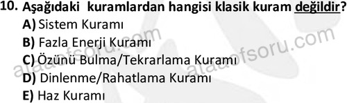 ata cocukgelisimonlisans 1483 10